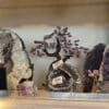 Amethyst - Image 2
