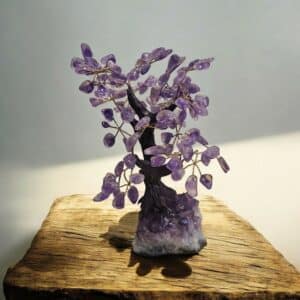 beautiful small amethyst crystal tree