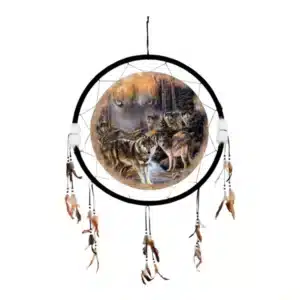 dreamcatcher