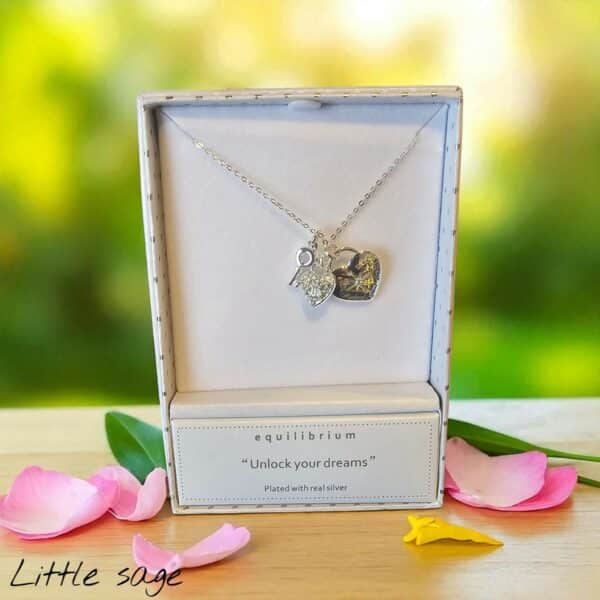 Lock Key with Message Necklace