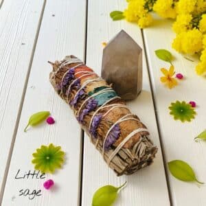 Natural citrine point