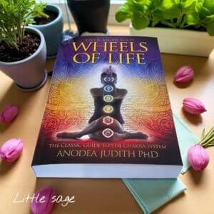 Wheels of Life