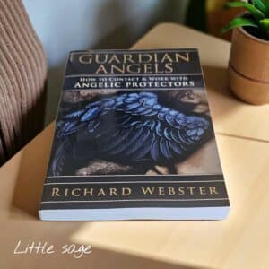 Guardian Angels